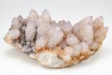 Cactus Quartz (Amethyst) Crystal Cluster - South Africa #207556-1